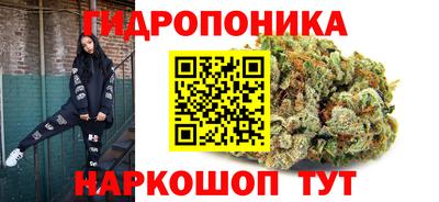 ECSTASY Будённовск