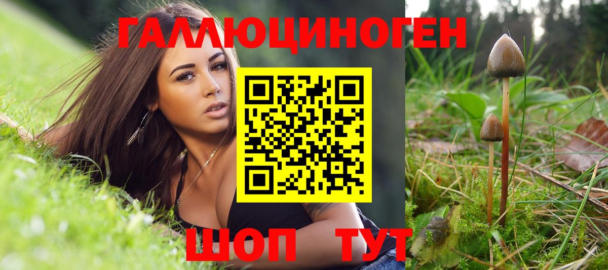 Псилоцибиновые грибы Psilocybe  Вход с VPN  Кушва  Галлюциногенные грибы ЛСД 